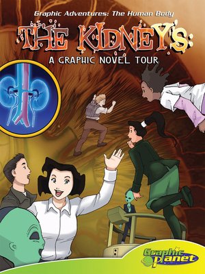Kidney - ebook